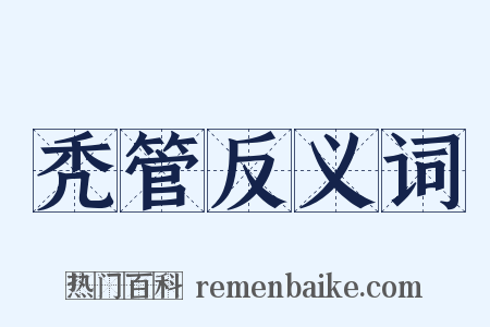 秃管反义词是什么意思的图片